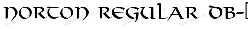 Norton Regular DB字体转换